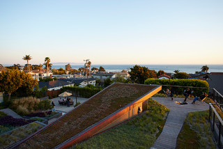 green roofs systems South Africa