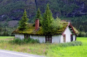 vertical gardens